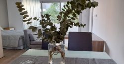Monoambiente divisible de 40 M2