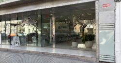 Departamento con cochera sobre Av. Pellegrini