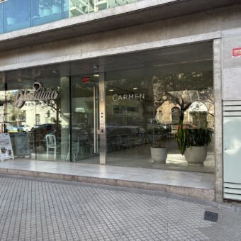 Departamento con cochera sobre Av. Pellegrini