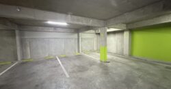 Departamento con cochera sobre Av. Pellegrini