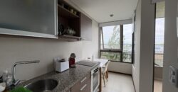 Alquiler en Condos del Alto