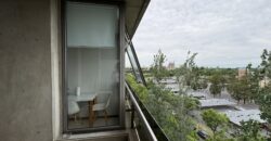 Alquiler en Condos del Alto